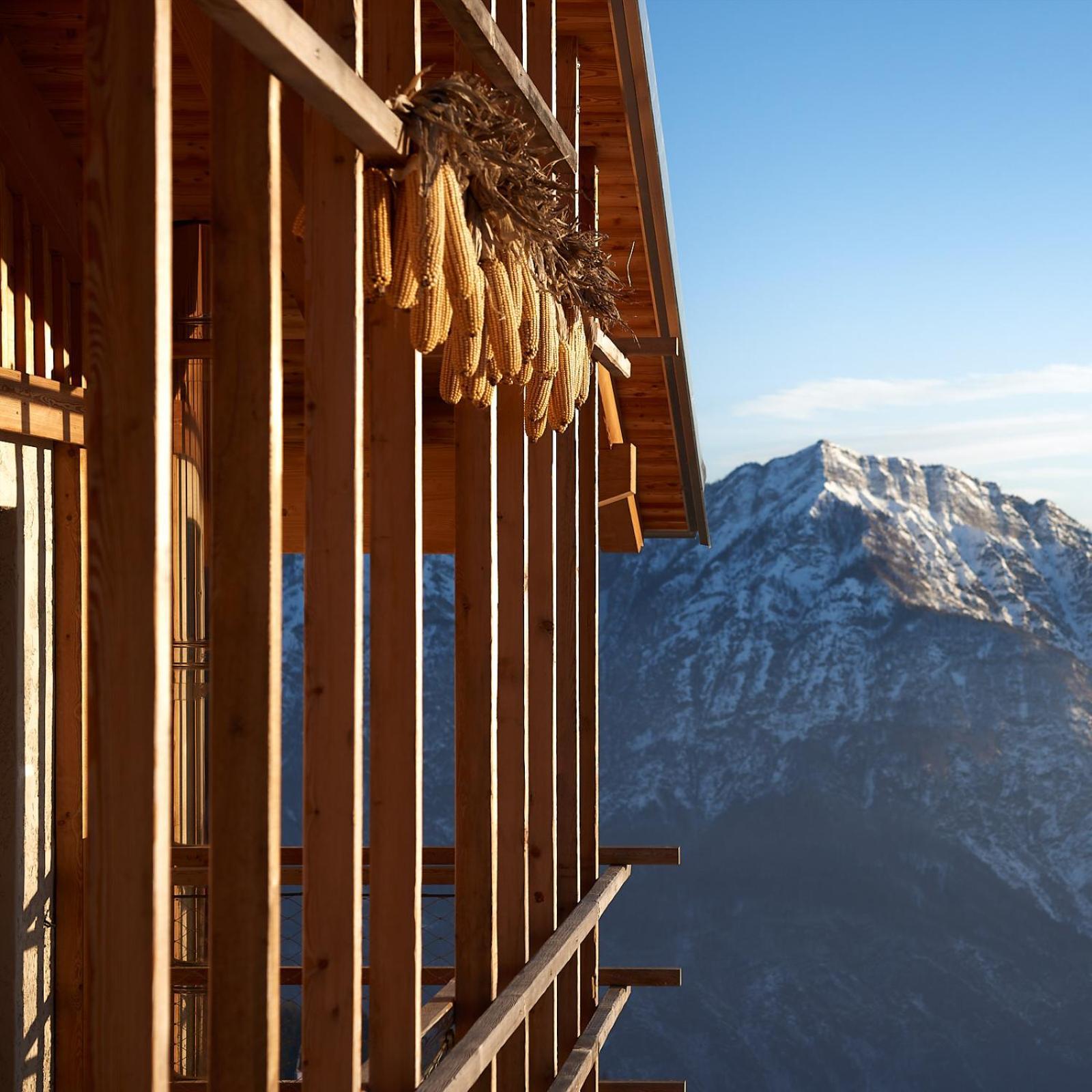 Nif: Alpine Taste Hotel Levico Terme Eksteriør billede